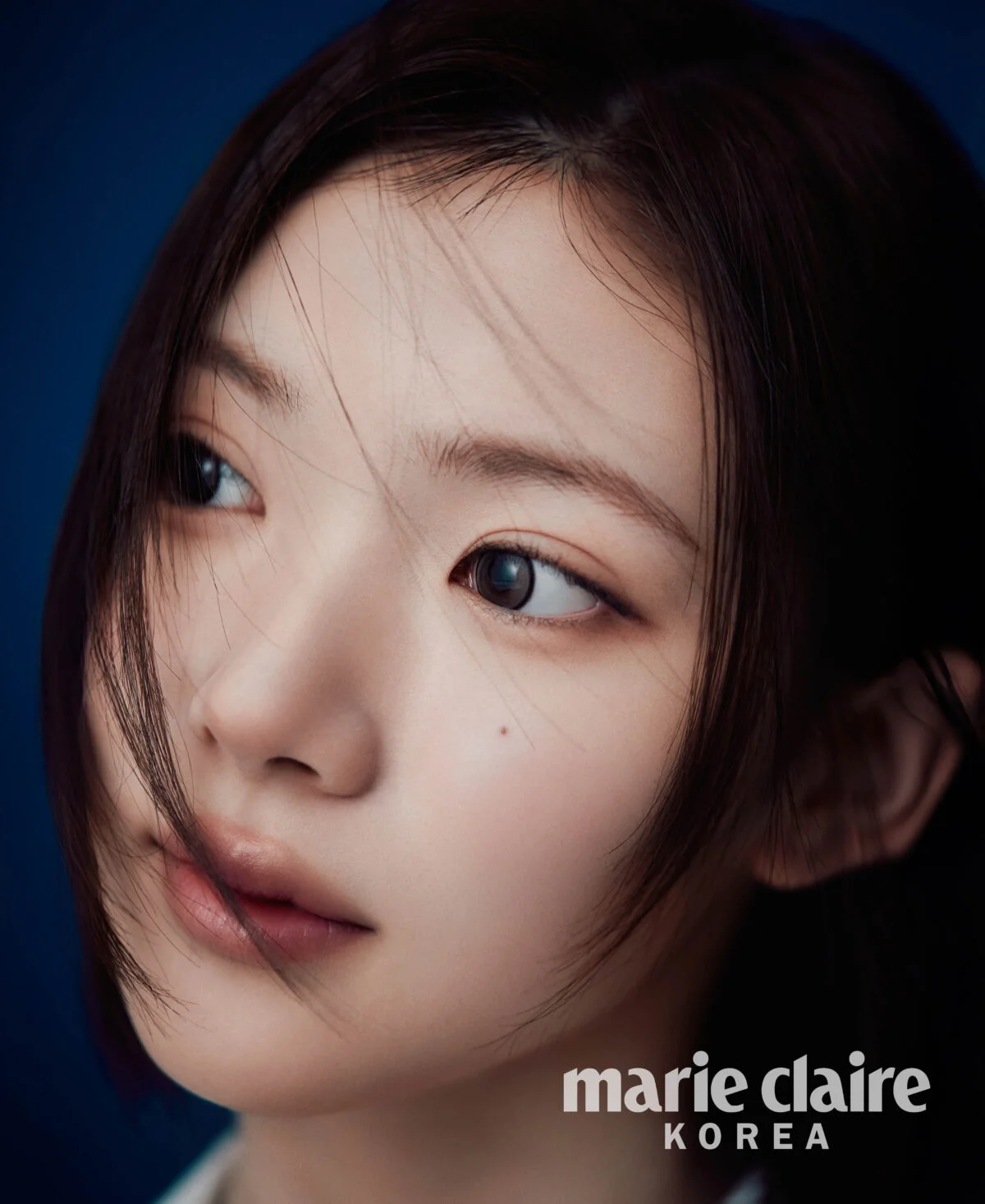 미디어 이미지