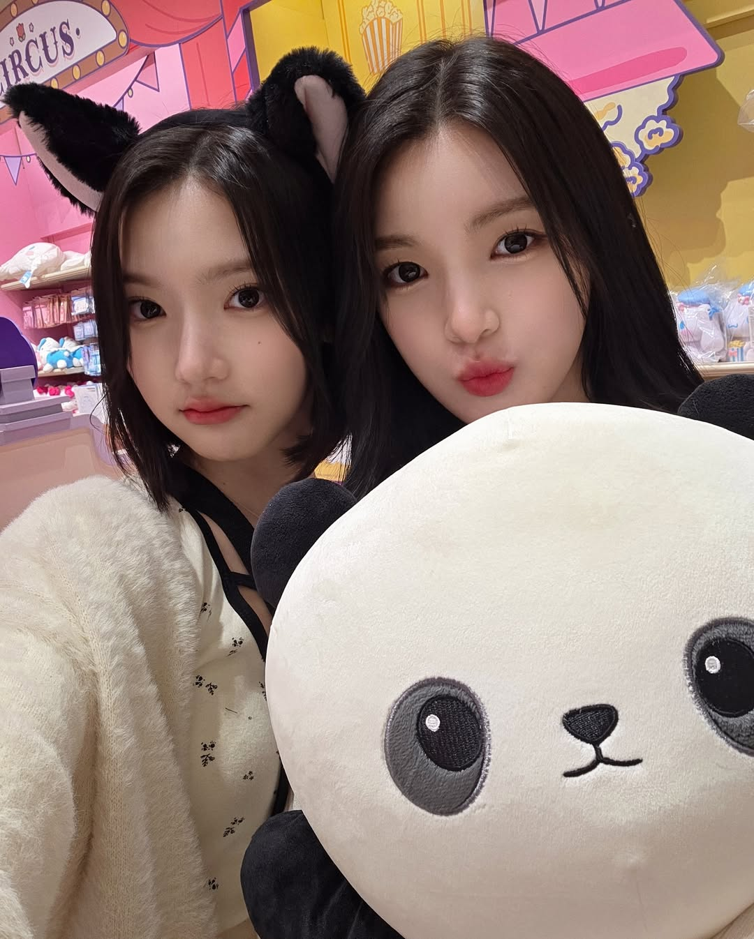 미디어 이미지