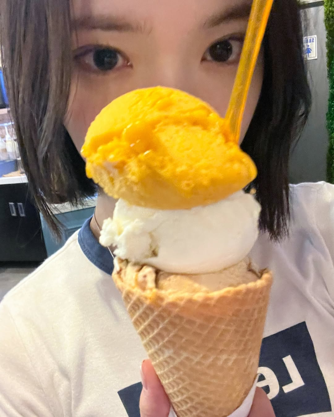 미디어 이미지