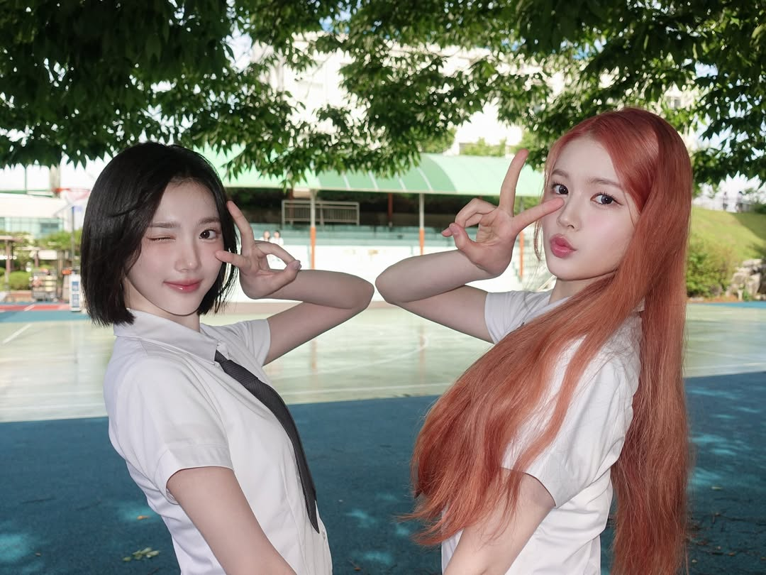 미디어 이미지