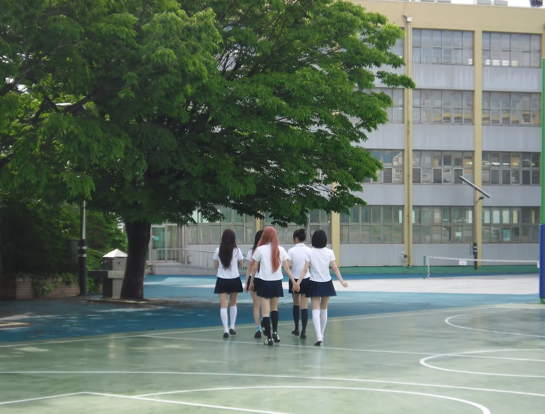 미디어 이미지