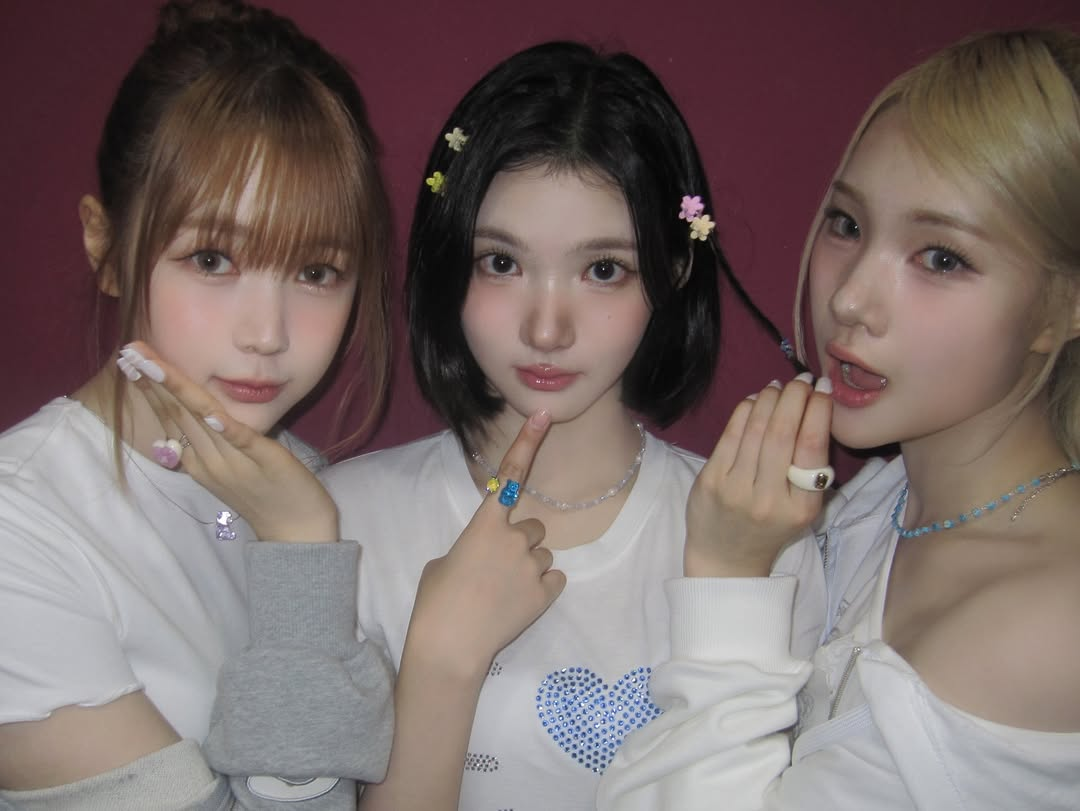 미디어 이미지