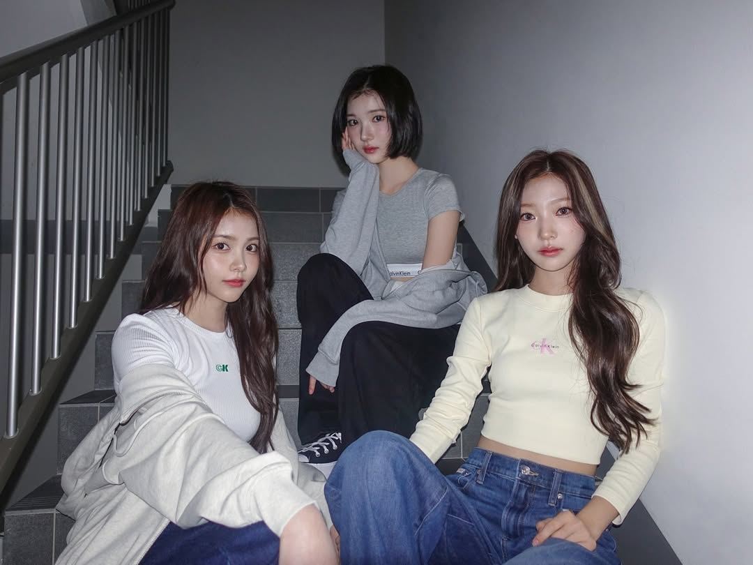 미디어 이미지