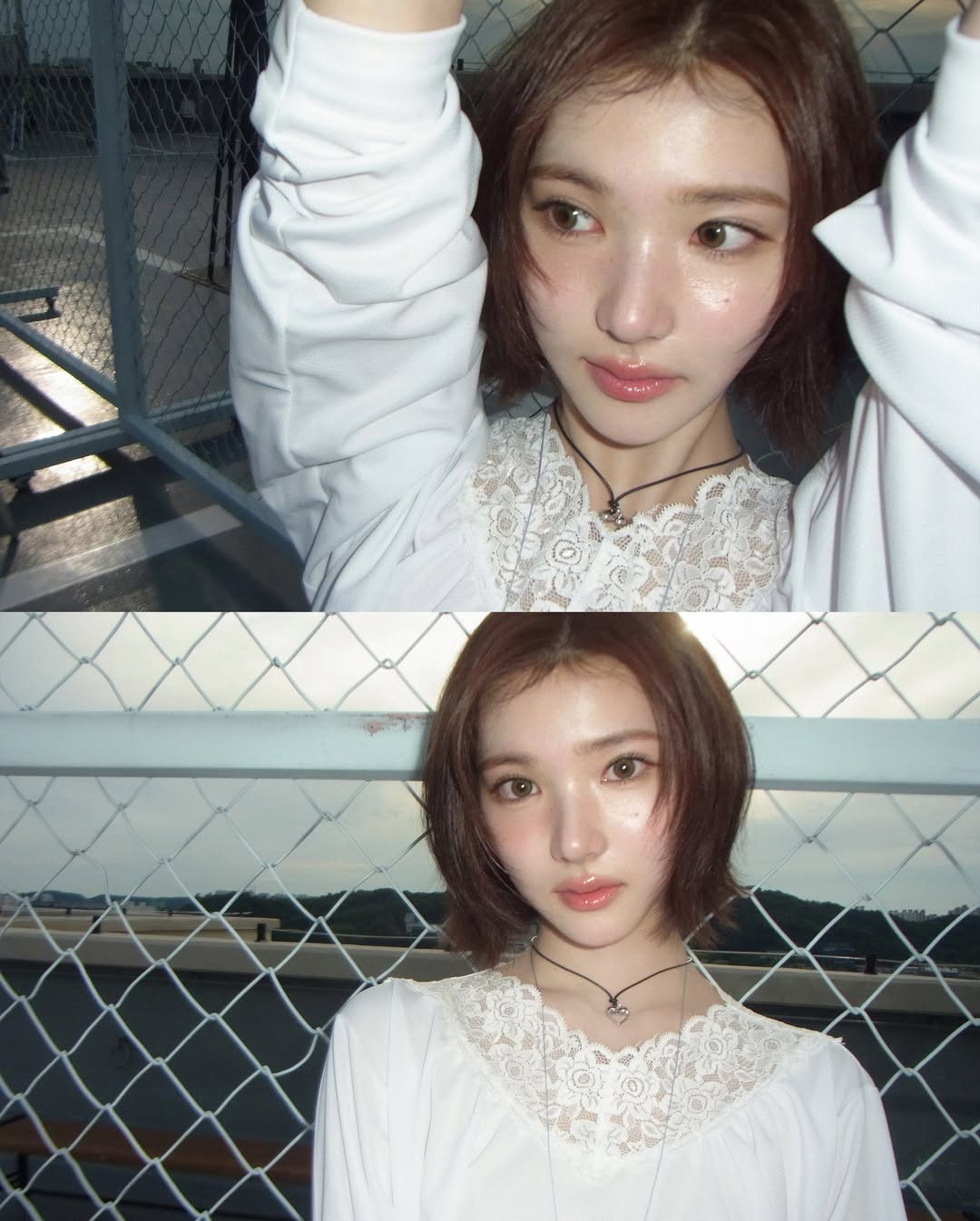 미디어 이미지