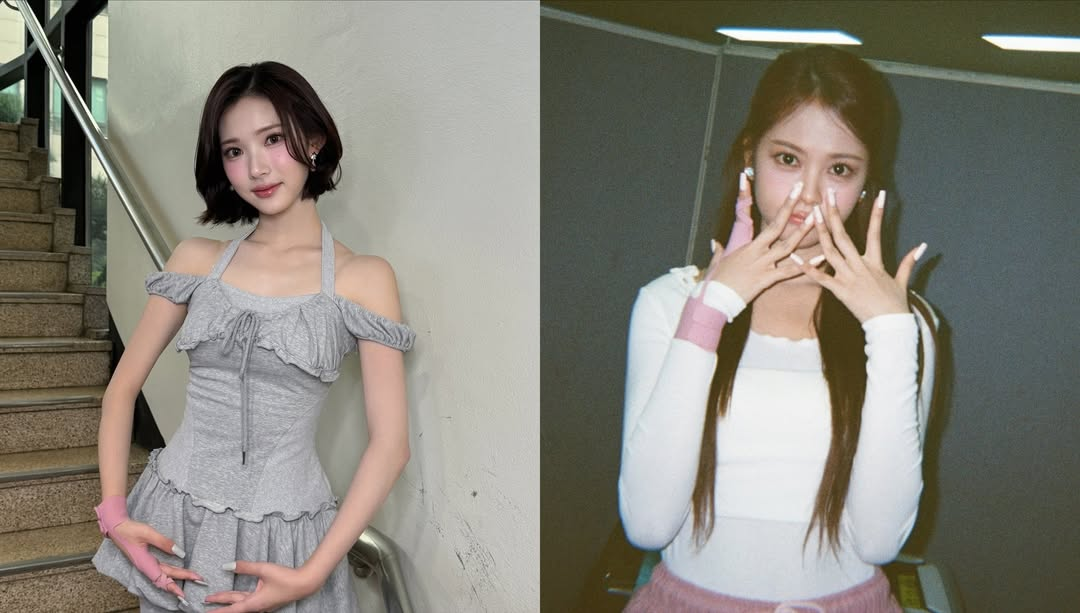미디어 이미지