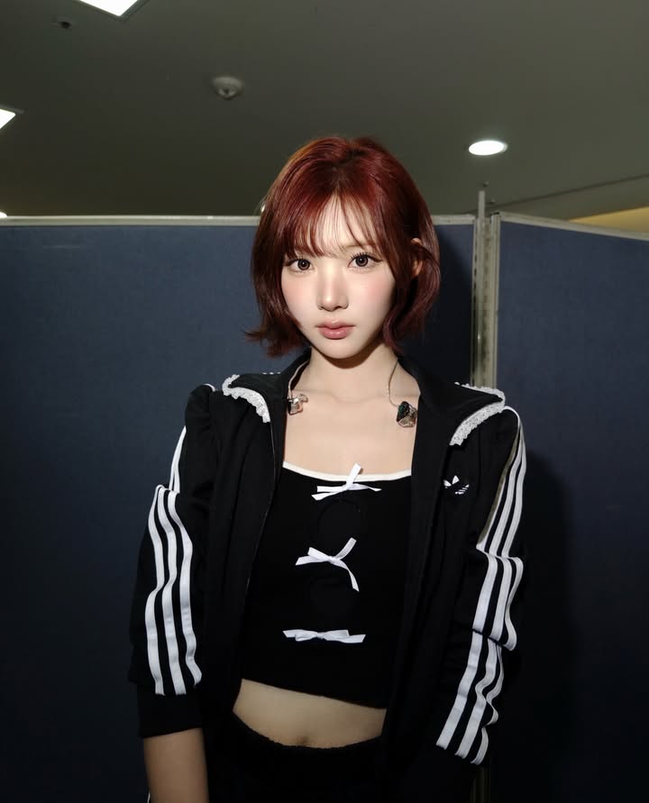 미디어 이미지