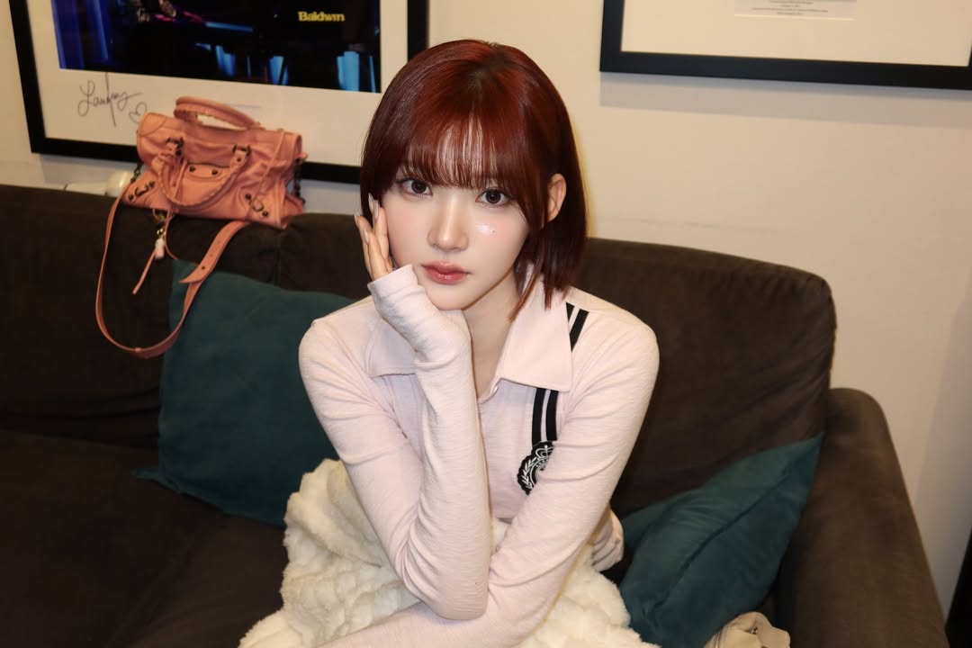 미디어 이미지