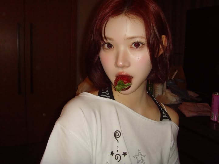 미디어 이미지