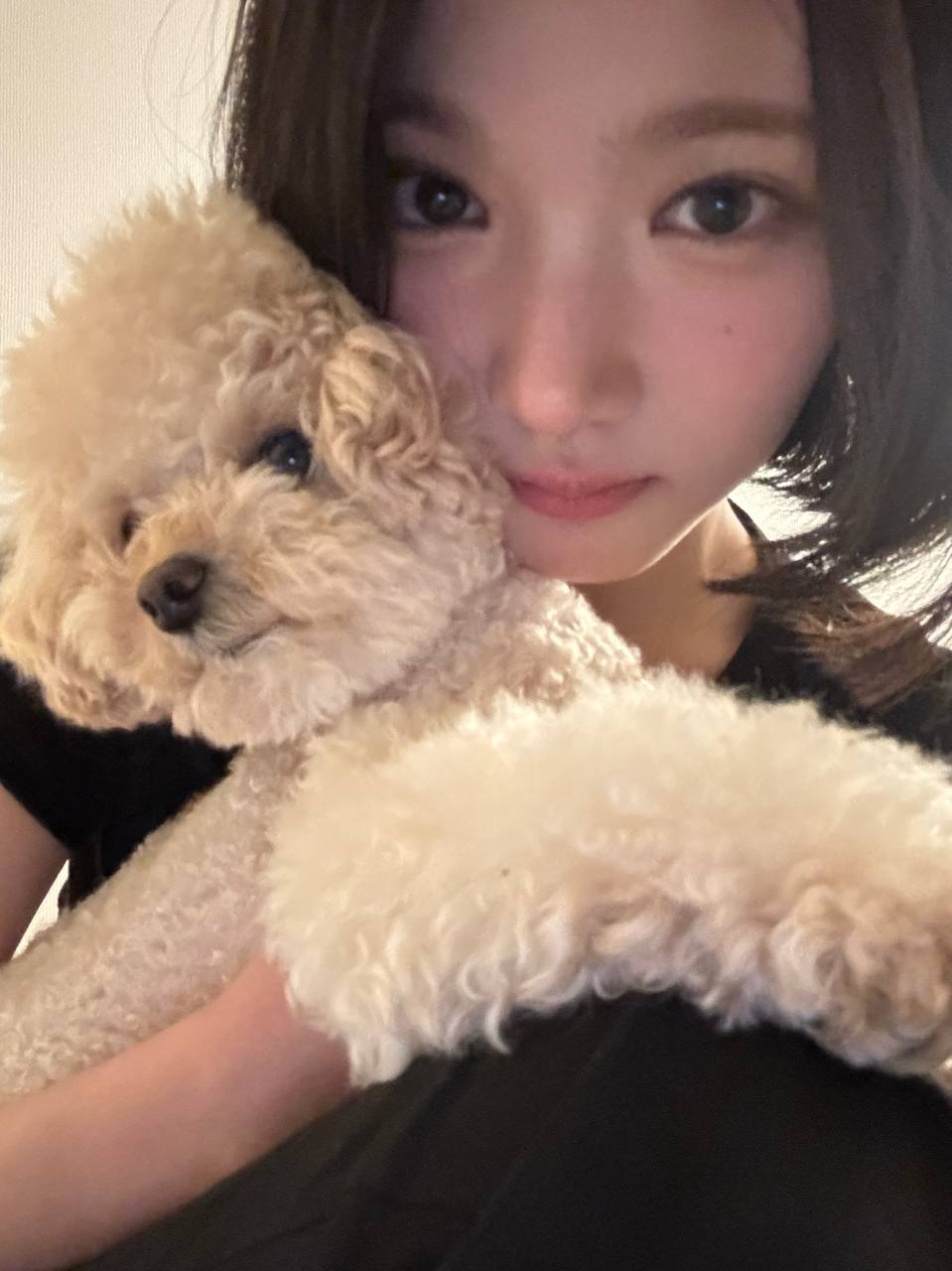 미디어 이미지