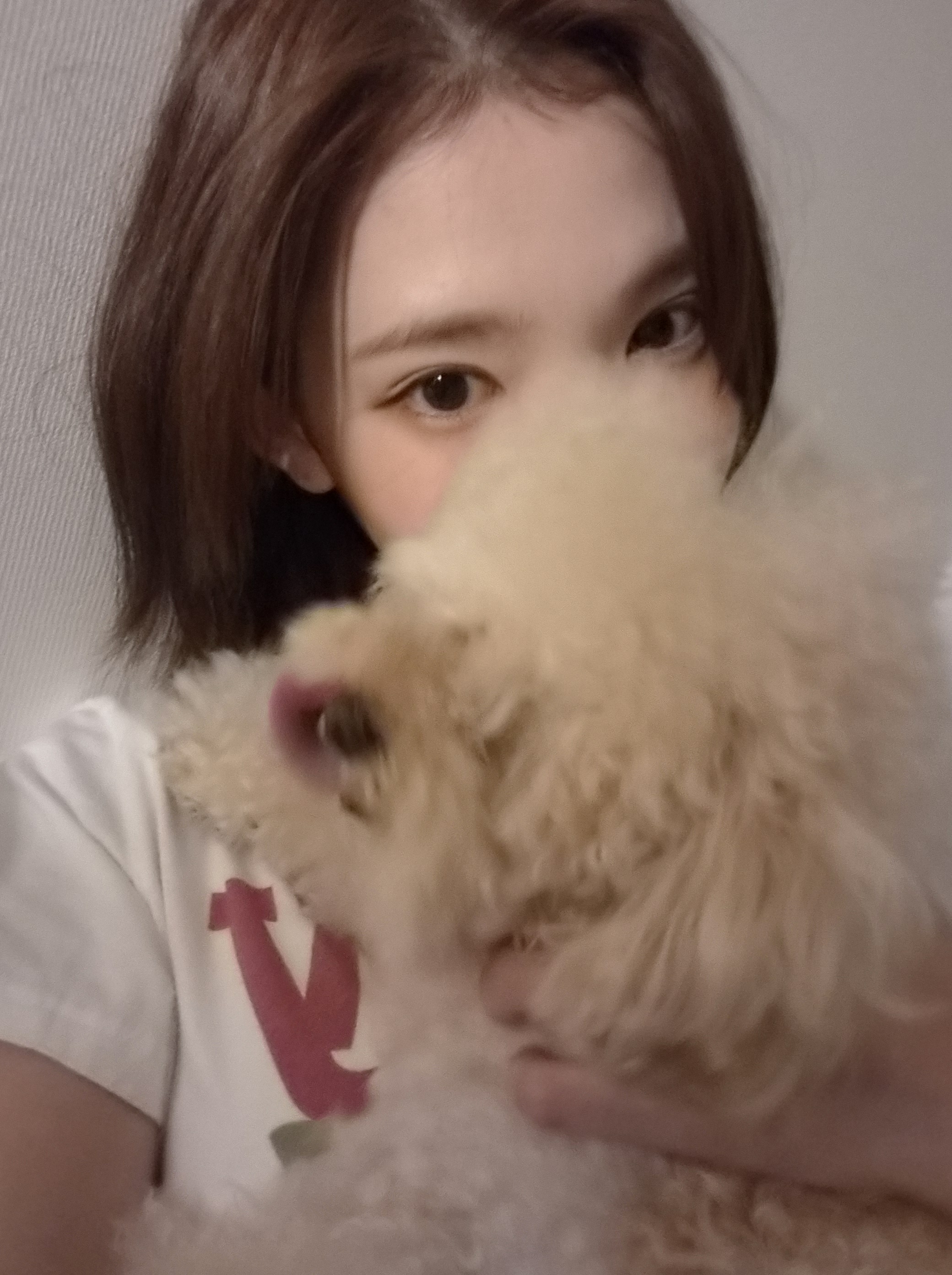 미디어 이미지