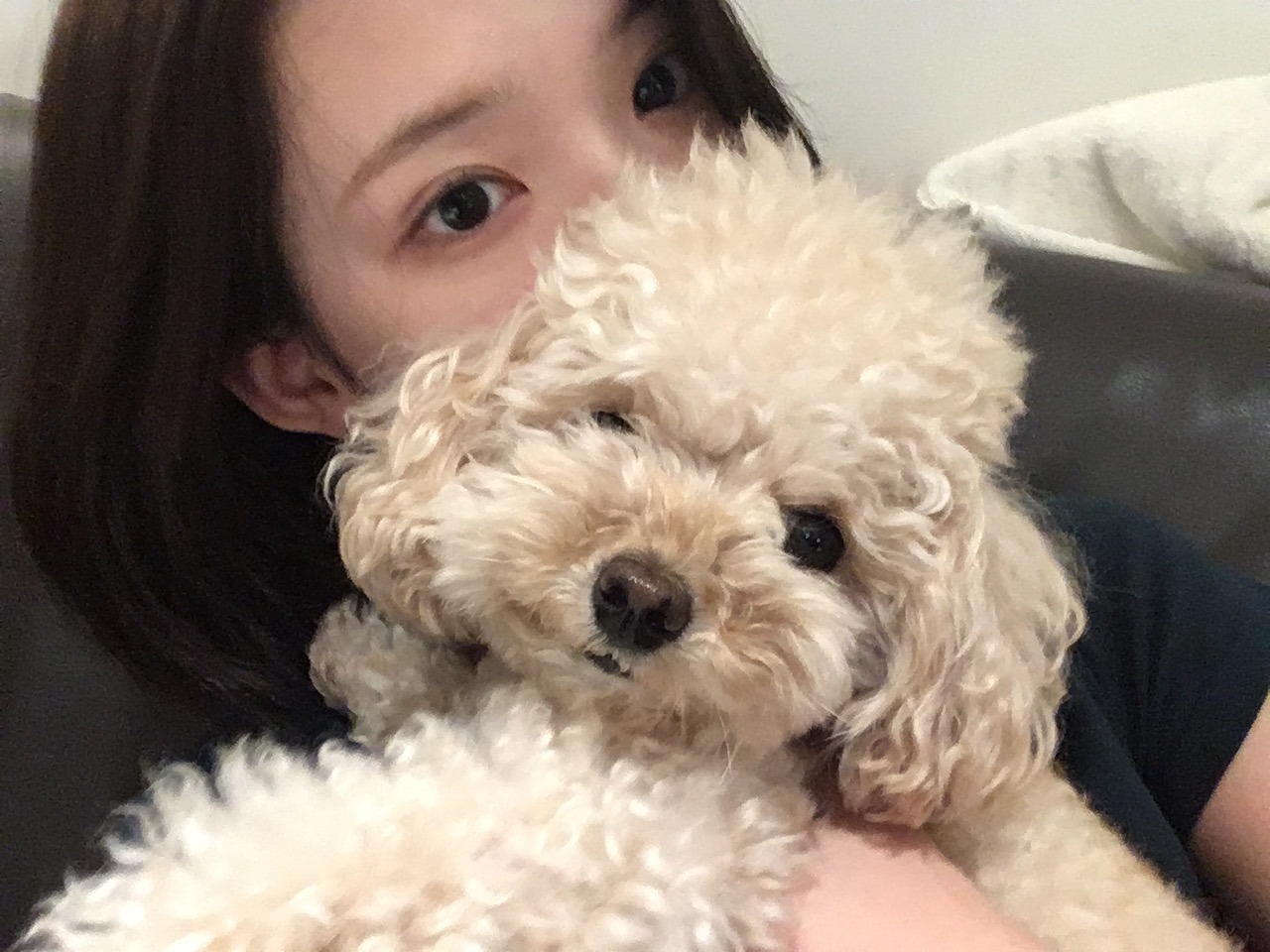 미디어 이미지