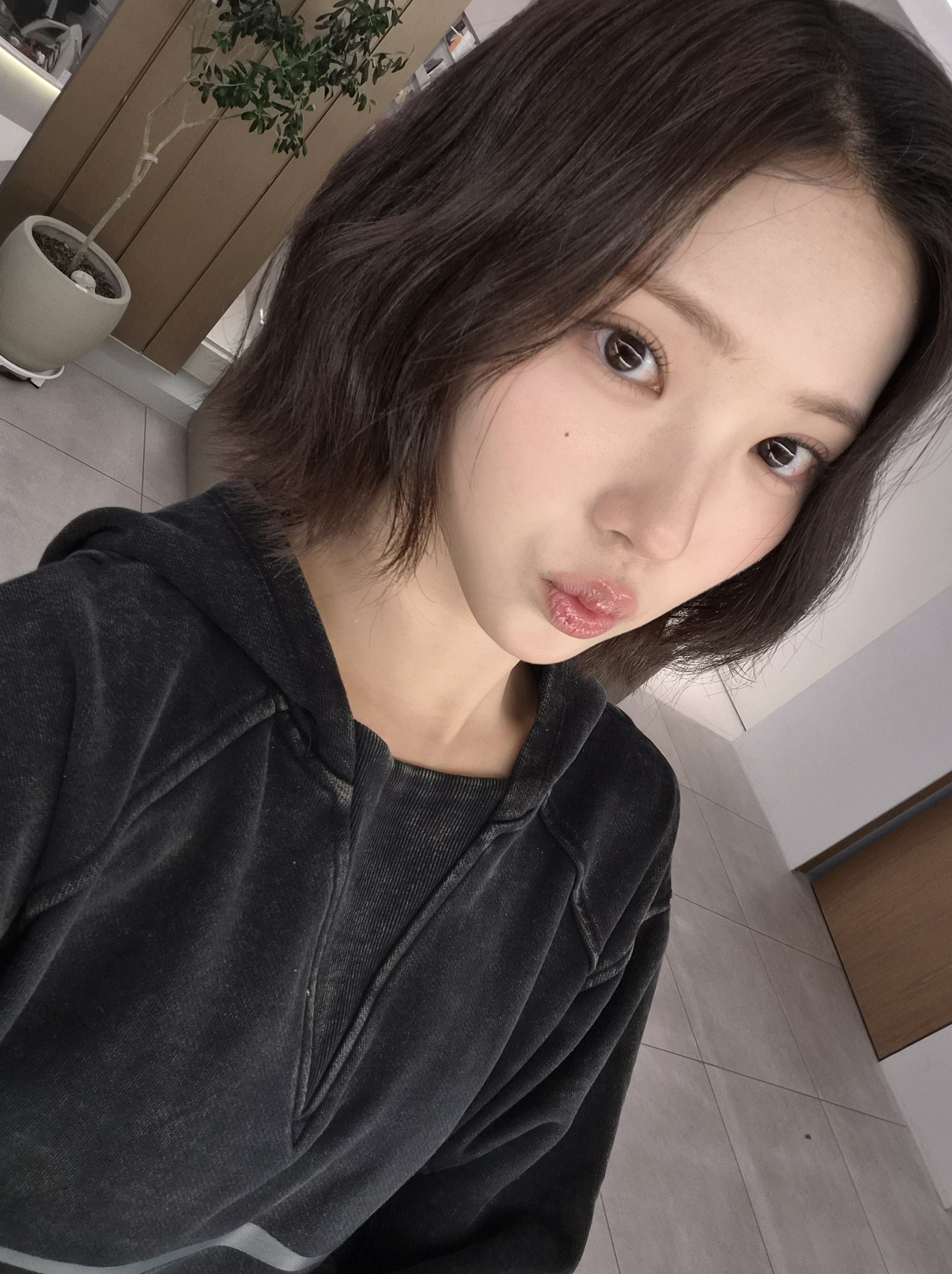 미디어 이미지