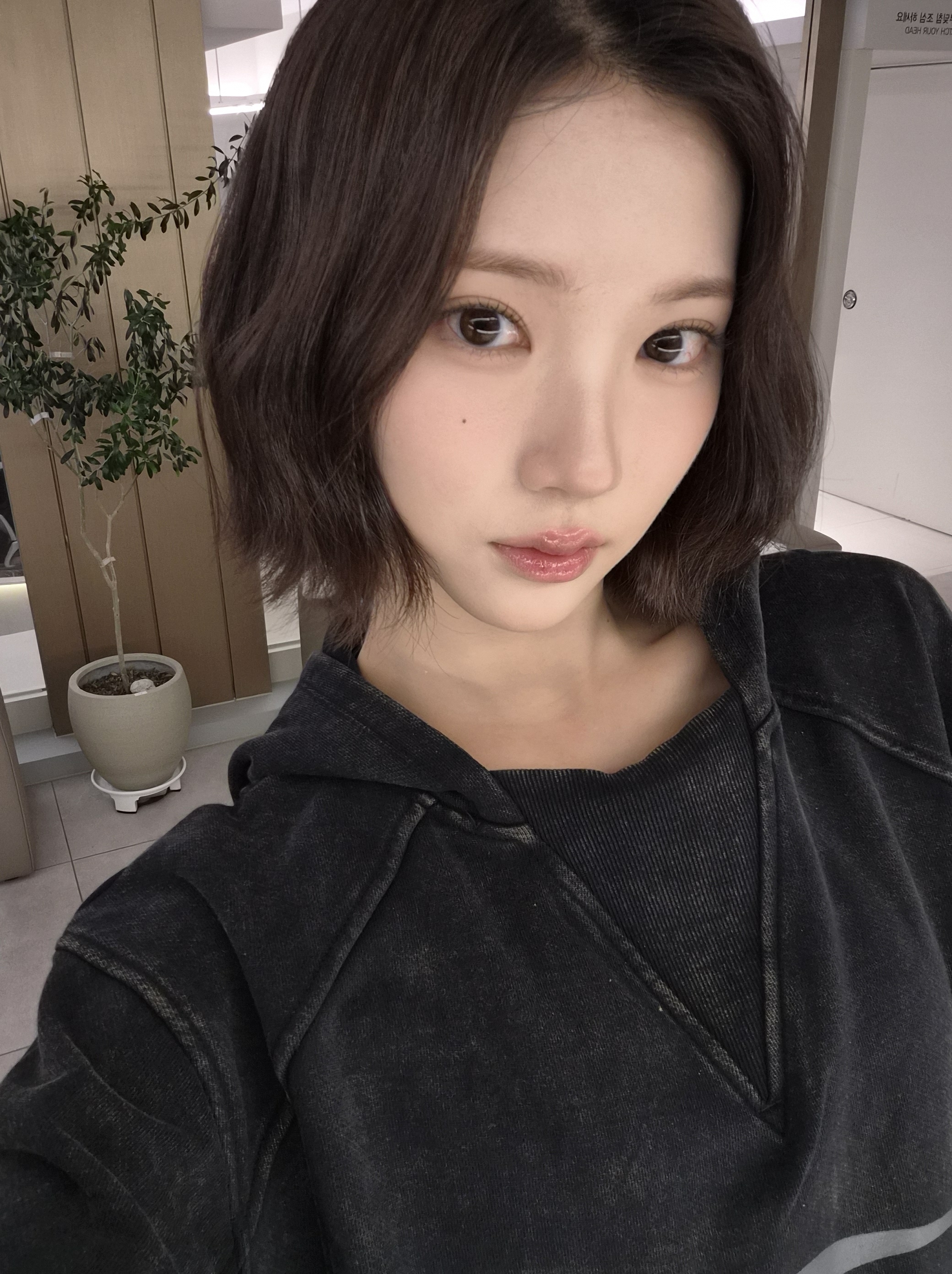 미디어 이미지