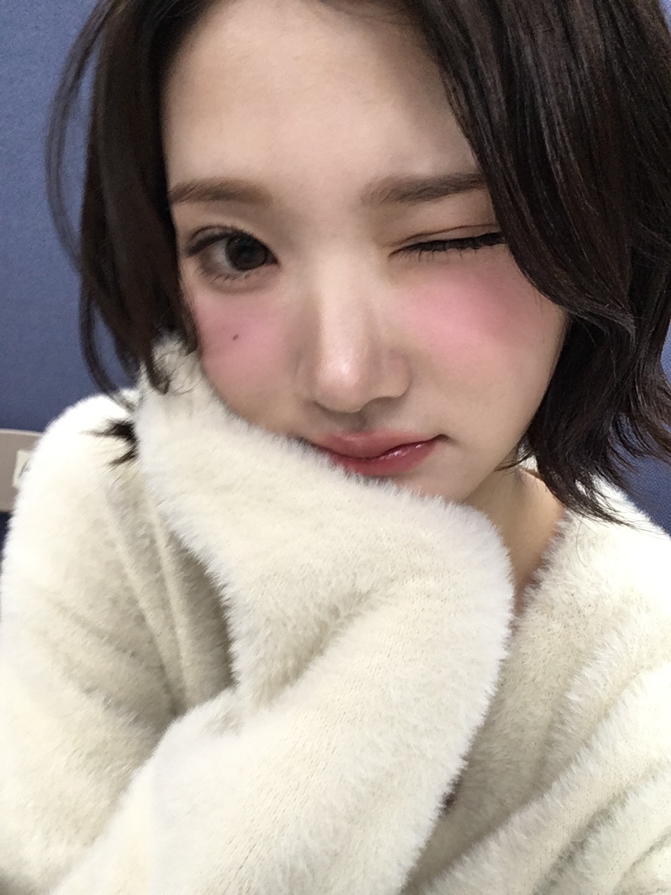 미디어 이미지