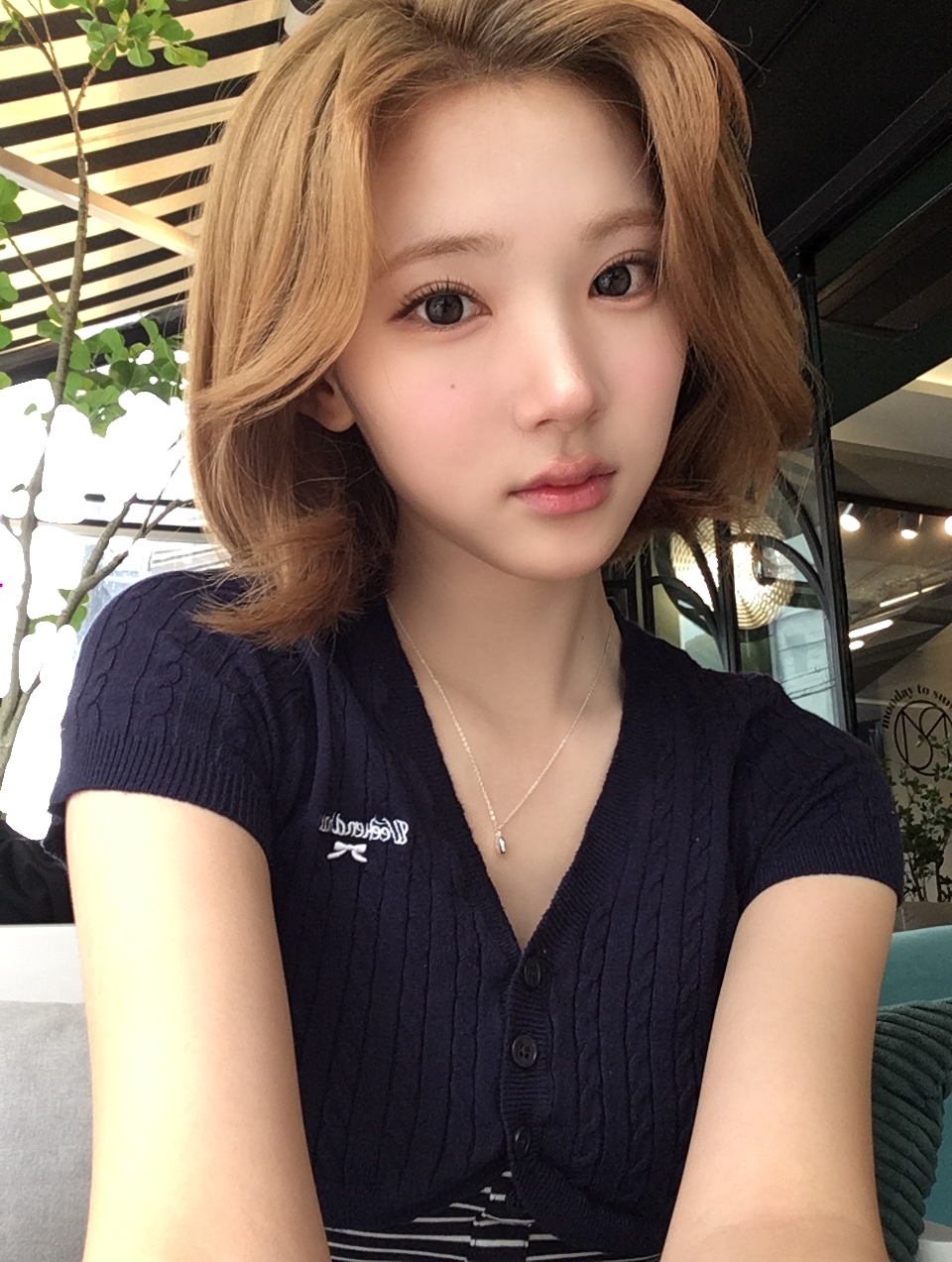 미디어 이미지