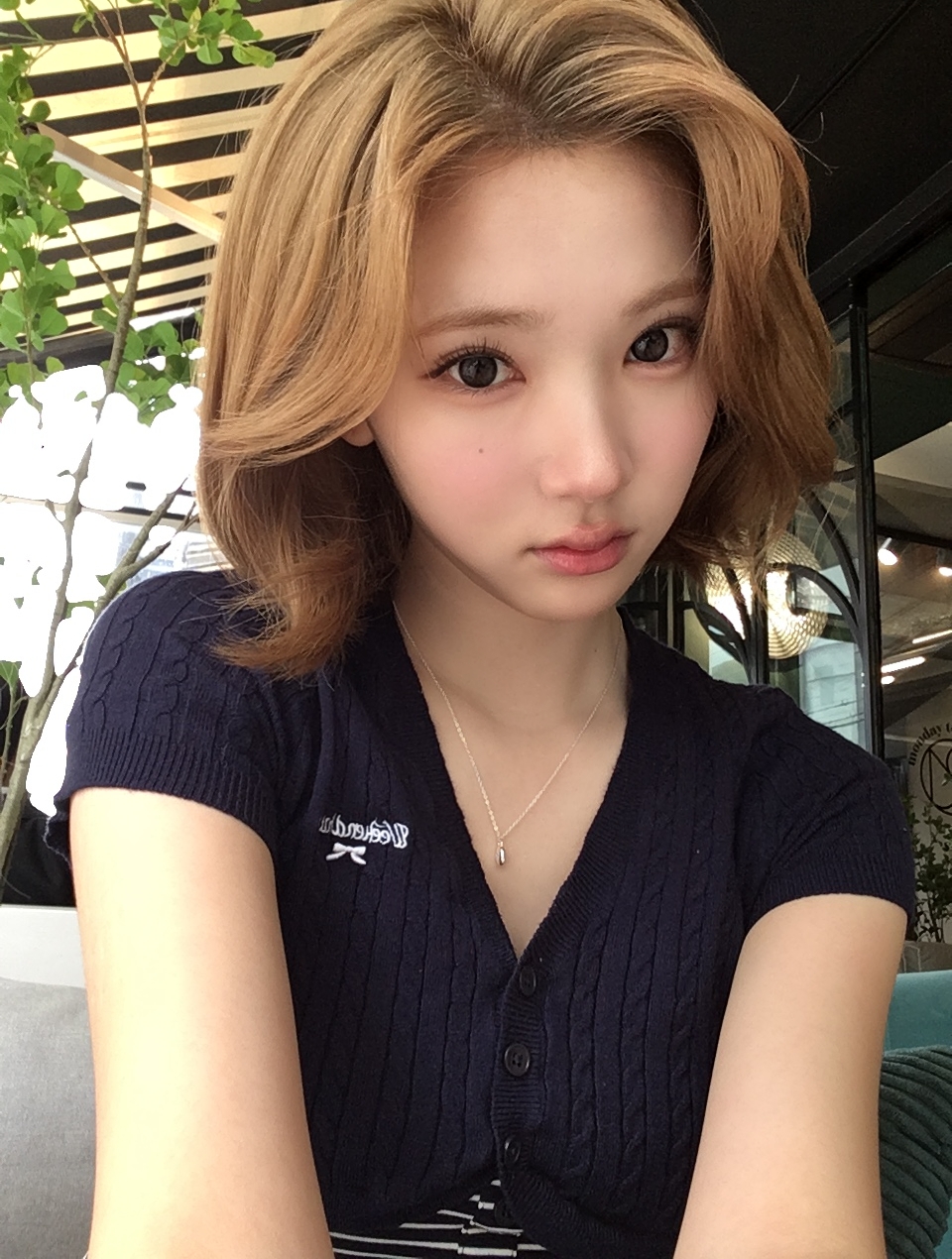 미디어 이미지