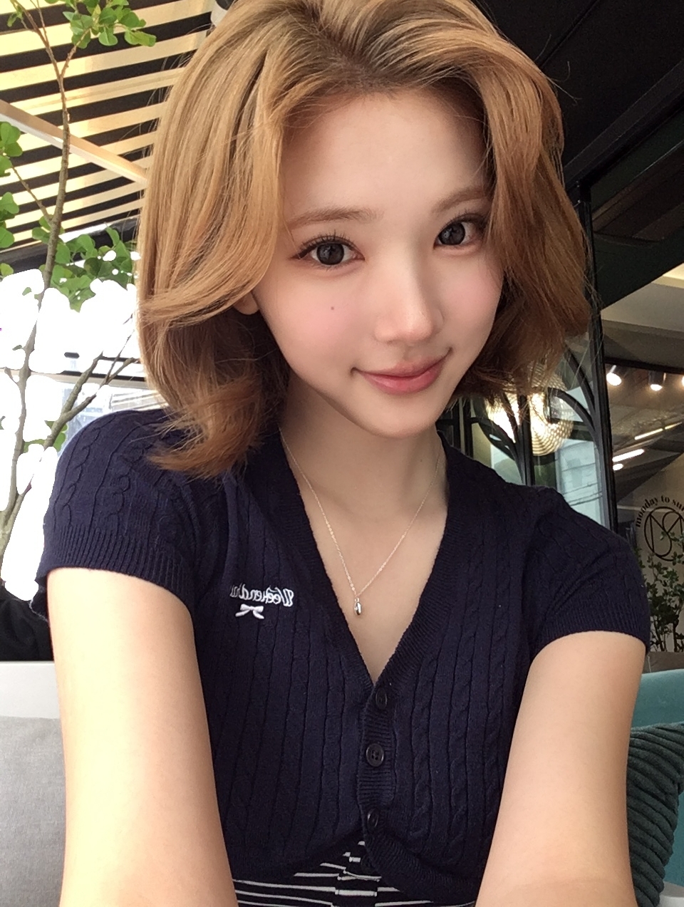 미디어 이미지