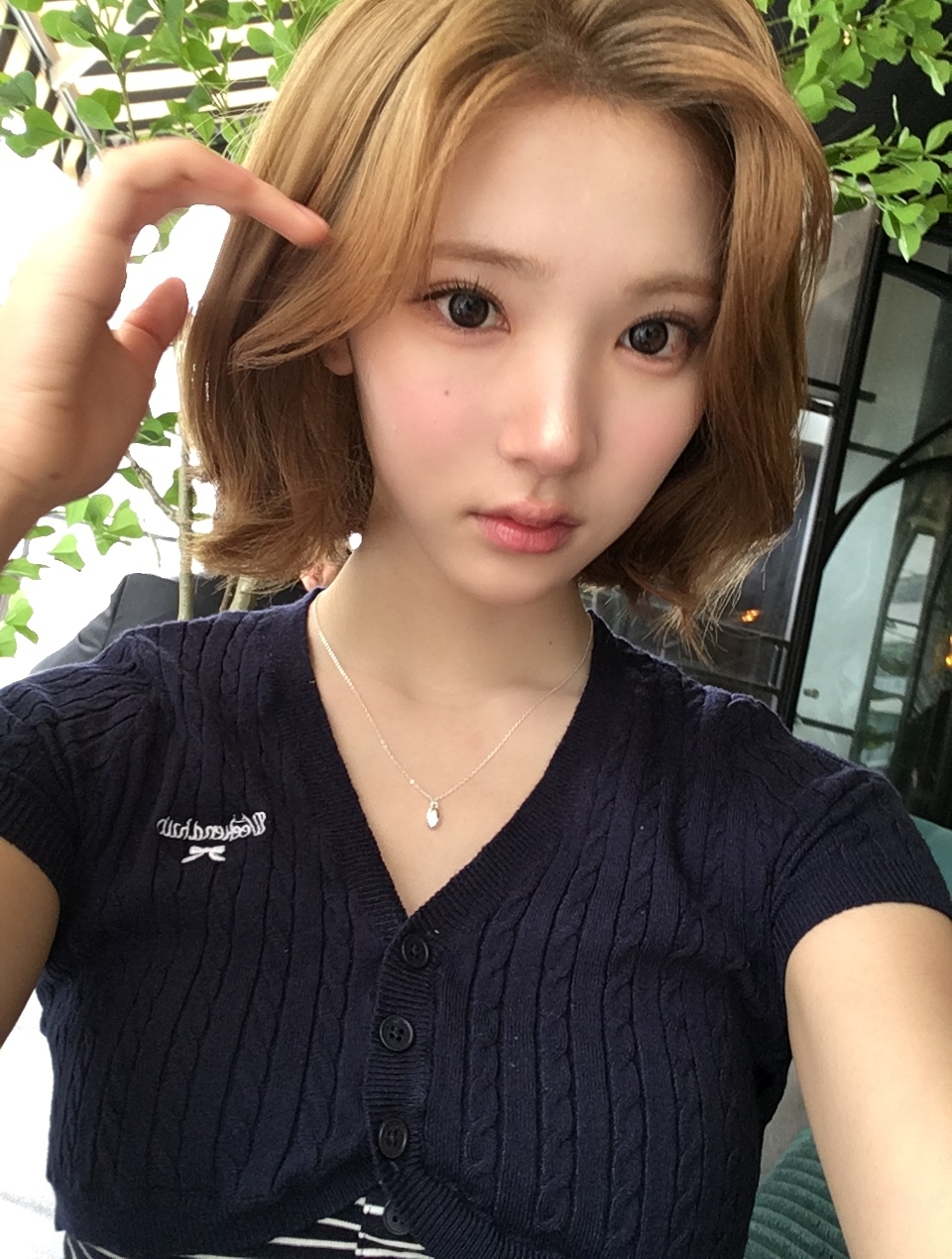 미디어 이미지
