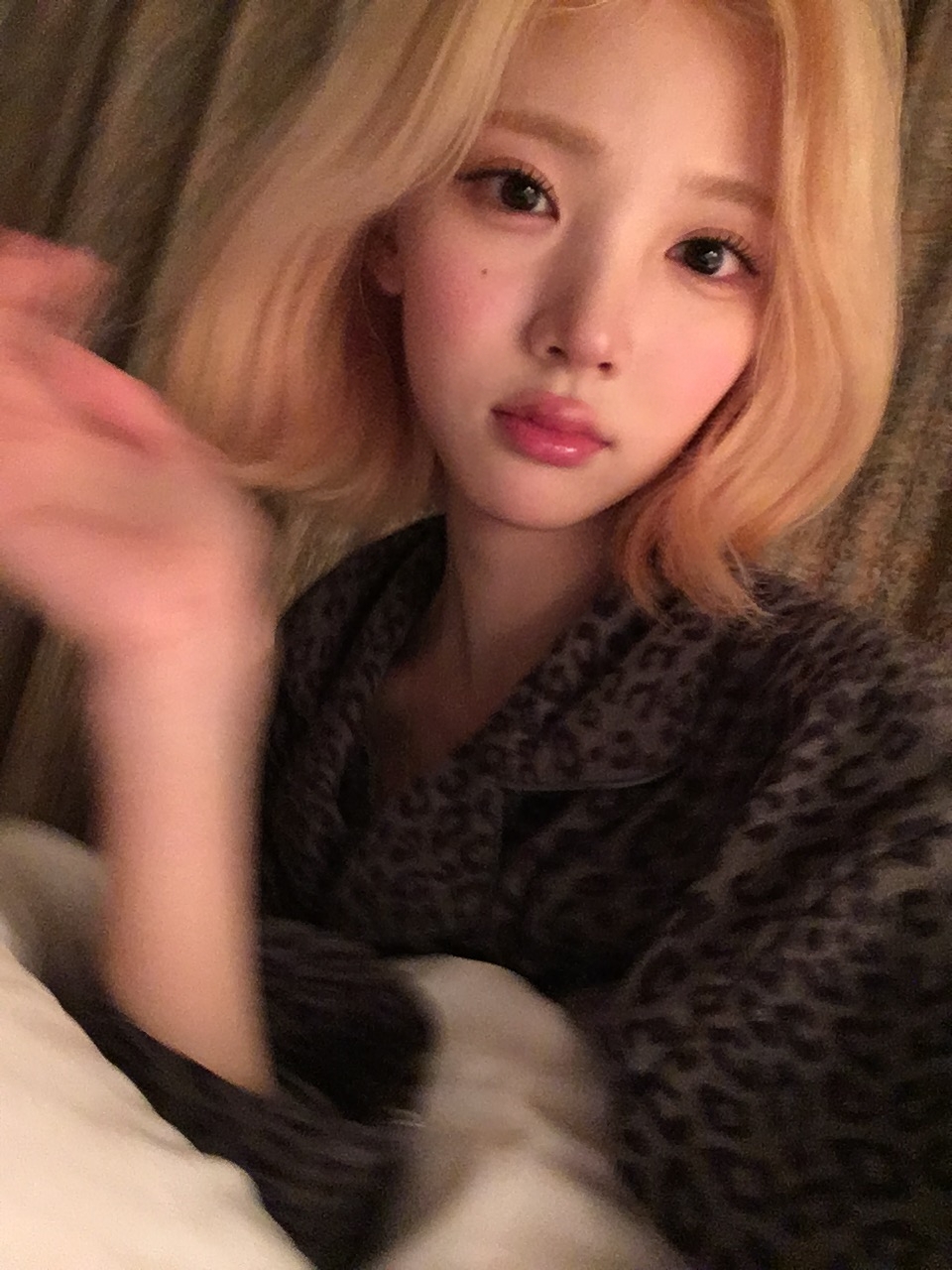 미디어 이미지