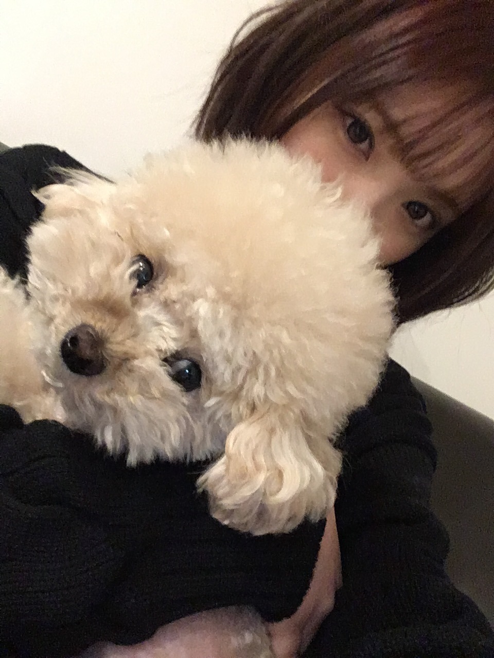 미디어 이미지